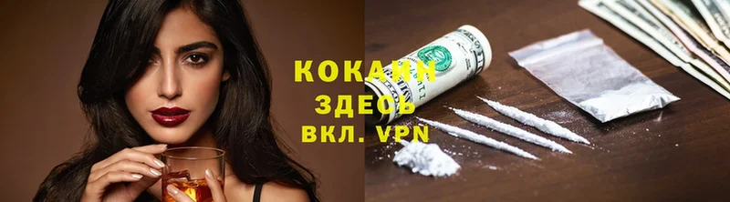 omg рабочий сайт  Камышлов  Cocaine VHQ  купить  сайты 