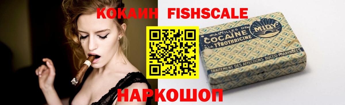 КОКАИН FishScale Камышлов