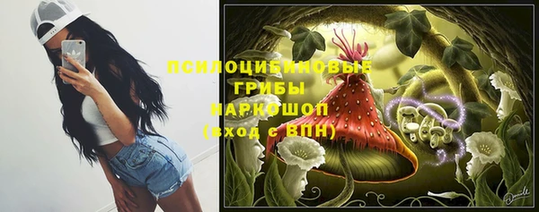 бошки Медвежьегорск