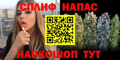 винт Донецк