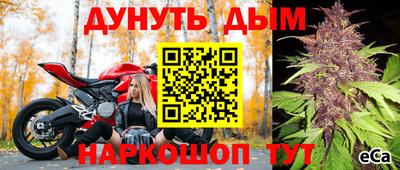 винт Донецк