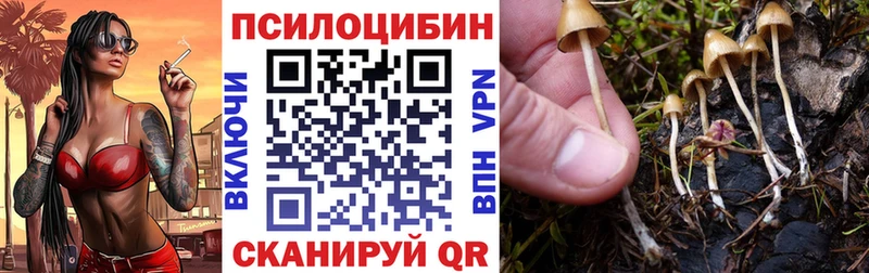 наркошоп  Камышлов  Псилоцибиновые грибы MAGIC MUSHROOMS 