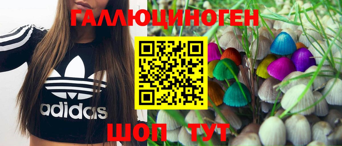 Галлюциногенные грибы Cubensis  наркота  Камышлов  Псилоцибиновые грибы мицелий 