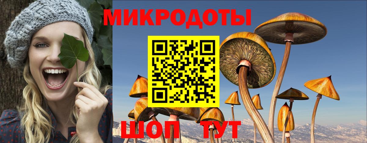 что такое   Вход с VPN  Камышлов  Галлюциногенные грибы мухоморы 