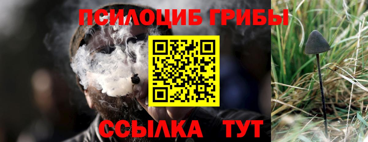 Галлюциногенные грибы мицелий Камышлов